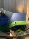 IMG_0157.jpeg