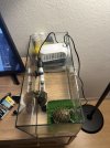 IMG_1637.jpeg