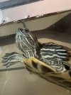 IMG_6958.jpeg