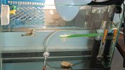 IMG_20250203_094243.jpg