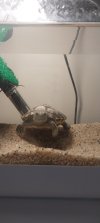 20250205_095228.jpg