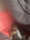 IMG_2893.jpeg