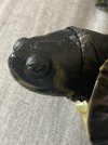 IMG_2884.jpeg