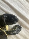 IMG_2879.jpeg