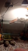 IMG-20250210-WA0006.jpeg