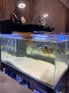 IMG_1577.jpeg