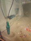 20250212_004941.jpg