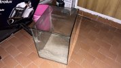 IMG_2002.jpeg