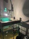 IMG_8720.jpeg