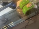 IMG_8764.jpeg