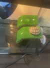IMG_8762.jpeg