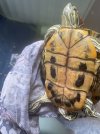 IMG_9431.jpeg