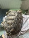 IMG_9433.jpeg