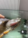 IMG_9435.jpeg