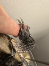 IMG_6071.jpeg
