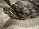 IMG_6065.jpeg