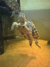 IMG_5221.jpeg