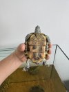 IMG_5225.jpeg