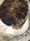 IMG_8109.jpeg