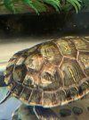 IMG_8113.jpeg