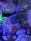 IMG_3370.jpeg