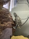 IMG_4017.jpeg