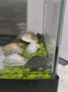 * Görsel 2025-05-06 saat 01.16.12_3d917bf4.jpg