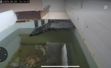 IMG_9233.jpeg