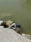 IMG_2472.jpeg