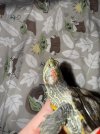 IMG_4802.jpeg