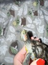IMG_4801.jpeg