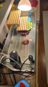 20250520_221845.jpg