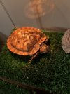 IMG_4842.jpeg