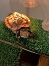 IMG_4837.jpeg