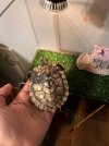 IMG_4839.jpeg