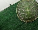 IMG_20250530_073515.jpg
