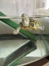 IMG_1208.jpeg