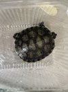 IMG_7051.jpeg
