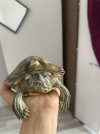 IMG_4843.jpeg