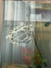 IMG_4925.jpeg