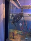 IMG_4272.jpeg