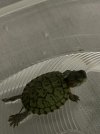 IMG_2226.jpeg