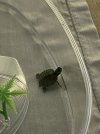 IMG_1513.jpeg