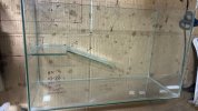 IMG-20250614-WA0028.jpg