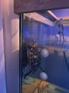 IMG_5882.jpeg