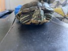 IMG_4883.jpeg