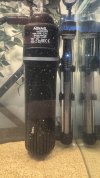 IMG_4490.jpeg