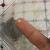 IMG_4105.jpeg