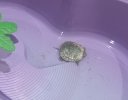 IMG_20250628_205829.jpg