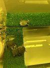IMG_1318.jpeg